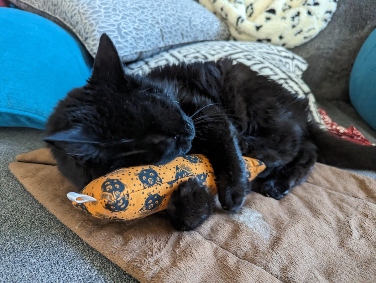 Cat Toys: Autumn / Halloween