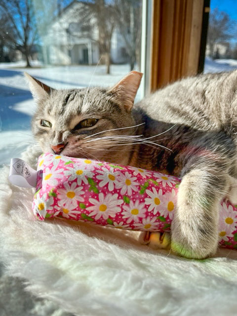 Cat Toys: Non-Seasonal