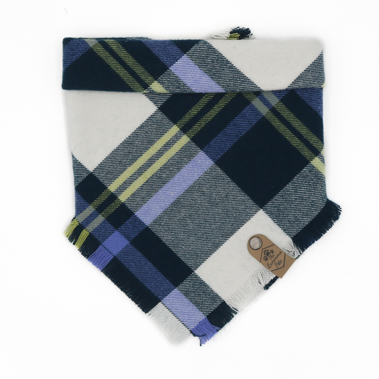Blue, white, green, purple plaid snap on pet bandana by The Luminous Pets _ Cannon Beach Design