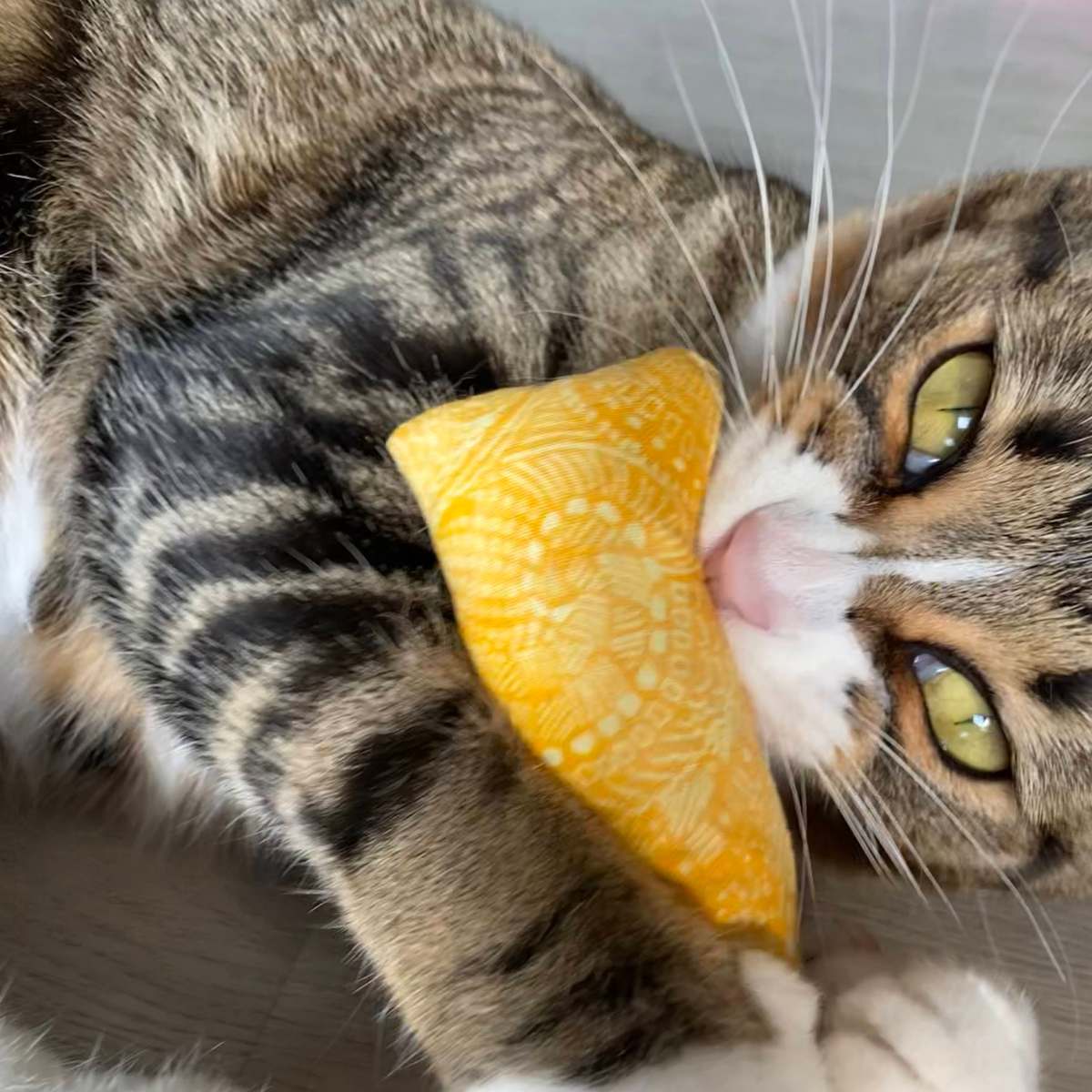 Cat playing with a catnip with valerian root kicker toy by The Luminous Pets