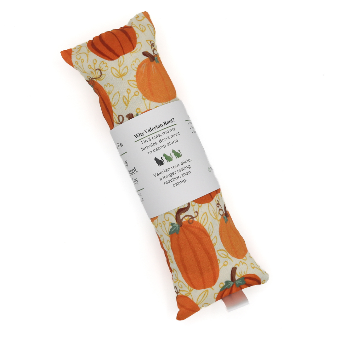 Catnip with valerian root cat toys by The Luminous Pets _ Painted Pumpkins Autumn