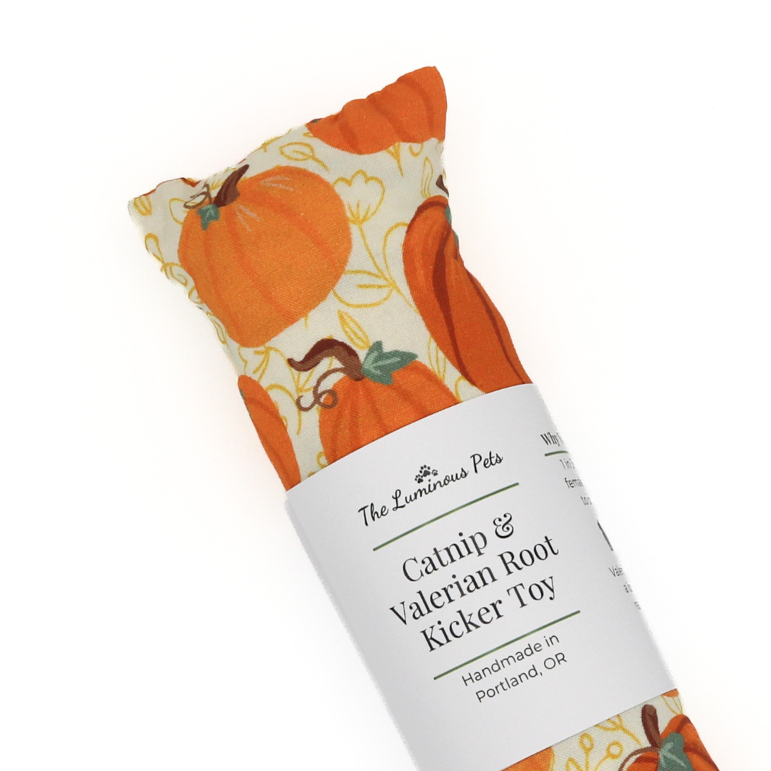 Catnip with valerian root cat toys by The Luminous Pets _ Painted Pumpkins Autumn