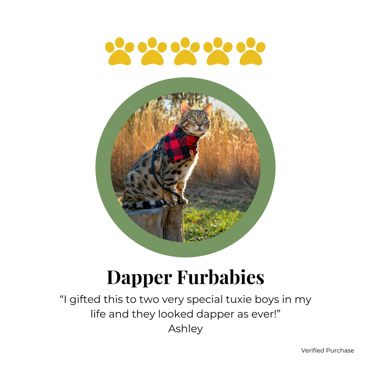Customer Review of Snap on Plaid Bandanas by The Luminous Pets