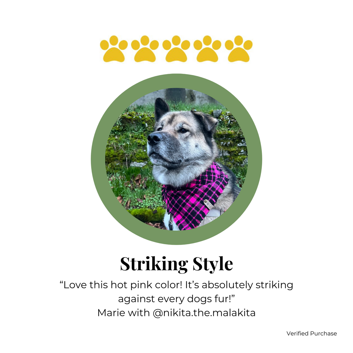 Customer review for Snap on Bandana by The Luminous Pets