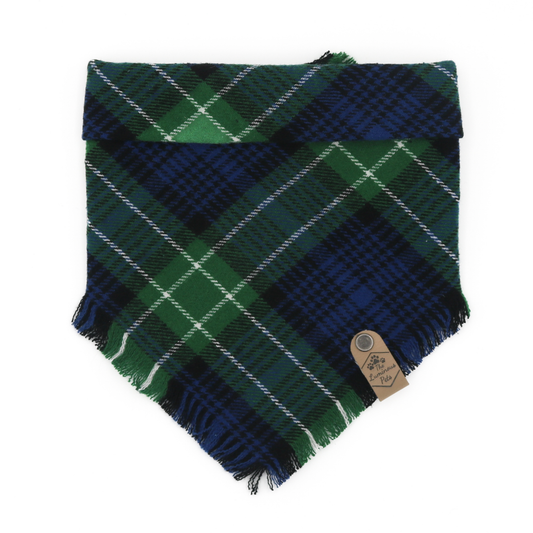 Green and navy blue plaid snap on bandana for pets by The Luminous Pets | Bellingham
